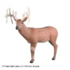 Rinehart 30 Pt. Buck Target 1 Rinehart 30 Pt. Buck Target -Bearpaw Booster Shop 5650174