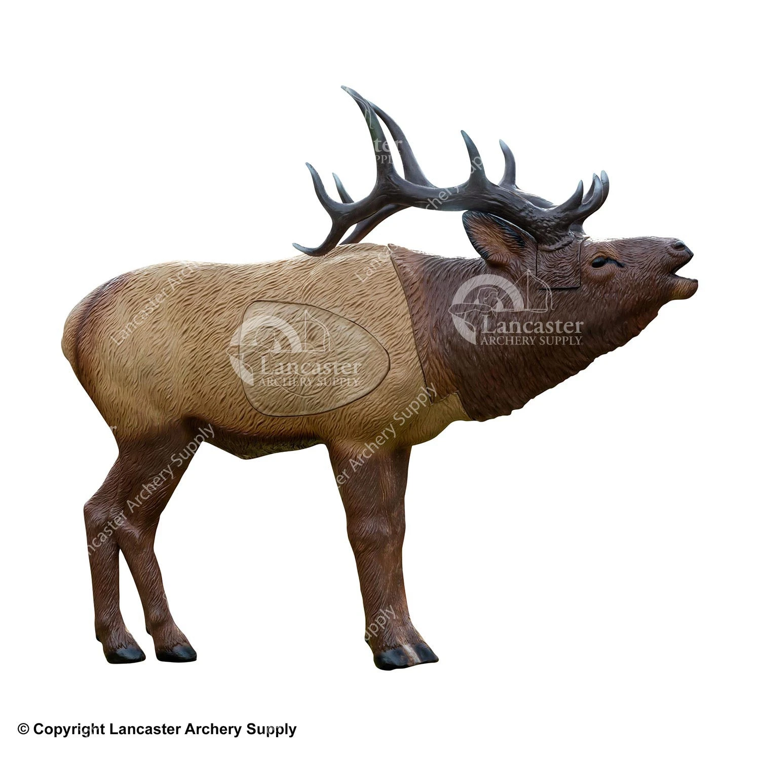 Rinehart 1/3 Scale Woodland Elk Target 3 Rinehart 1/3 Scale Woodland Elk Target