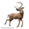 Rinehart Kicking Deer Target 1 Rinehart Kicking Deer Target -Bearpaw Booster Shop 5650258