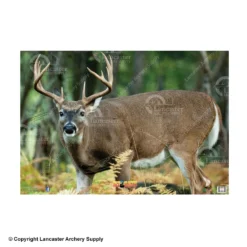 NiceTargets Deer Targets 12 NiceTargets Deer Targets -Bearpaw Booster Shop 8860002 broadleft