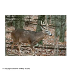 NiceTargets Deer Targets 11 NiceTargets Deer Targets -Bearpaw Booster Shop 8860002 broadright