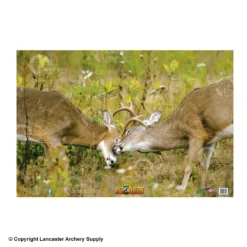 NiceTargets Deer Targets 14 NiceTargets Deer Targets -Bearpaw Booster Shop 8860002 fight