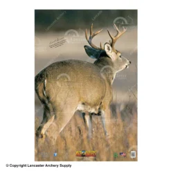 NiceTargets Deer Targets 10 NiceTargets Deer Targets -Bearpaw Booster Shop 8860002 qtrawayright