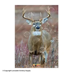 NiceTargets Deer Targets 13 NiceTargets Deer Targets -Bearpaw Booster Shop 8860002 straighton