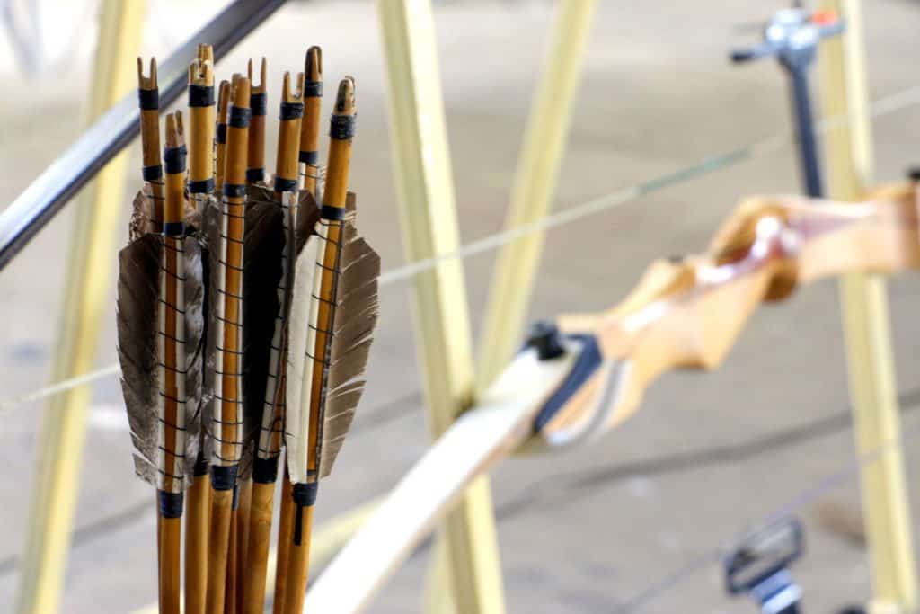 Bearpaw Booster Shop -Bearpaw Booster Shop 31287489 m 1024x683 1